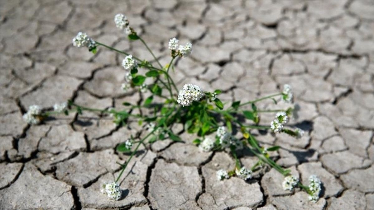 Kanunun temel amaçları ve kapsamı