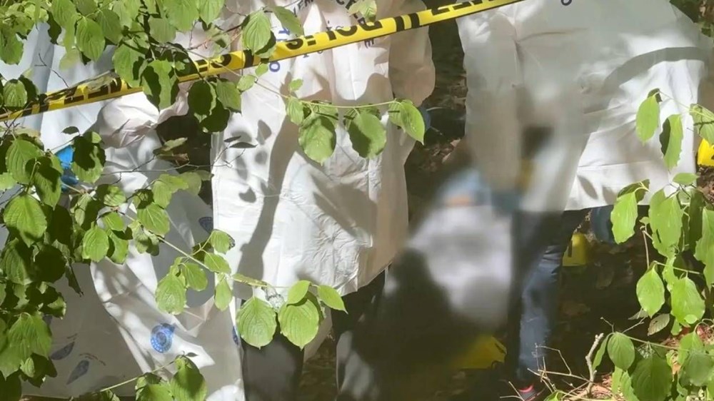 İstanbul Ormanında Gizemli Ölüm: Başına Poşet Geçirilmiş ve Bantlanmış Cesetle İlgili Şok Detaylar