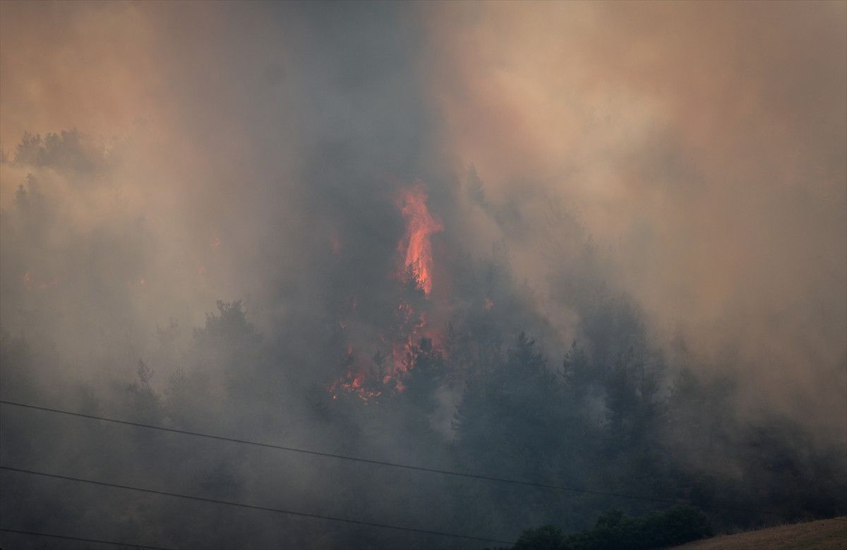 Durum Değerlendirmesi