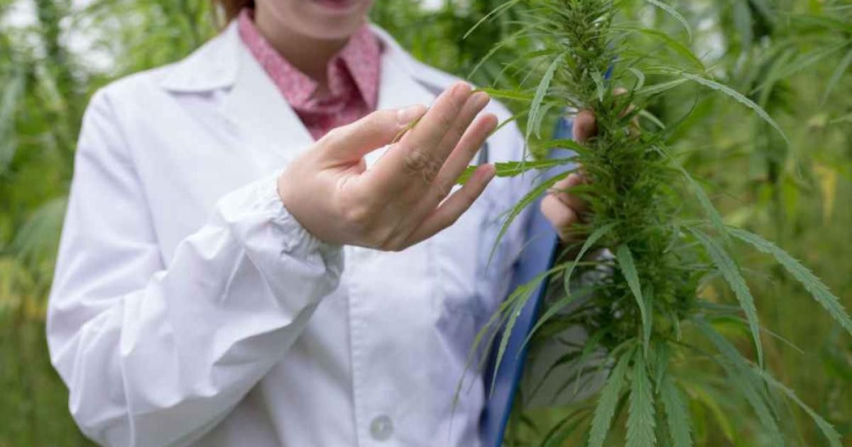 Nasıl Kullanılır?