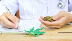 tibbi-kenevirin-yasal-satisi-ve-kullanim-alanlari-tJxl2MTG.jpg