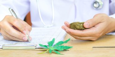 tibbi-kenevirin-yasal-satisi-ve-kullanim-alanlari-tJxl2MTG.jpg