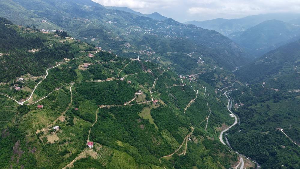 Trabzon'un Zorlu Coğrafyasında Gelişen Yol Ağı