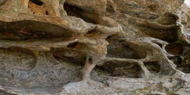 aydinda-8-bin-yillik-kesif-tarihi-resimli-kaya-sit-alani-ilan-edildi-C13PTxYv.jpg