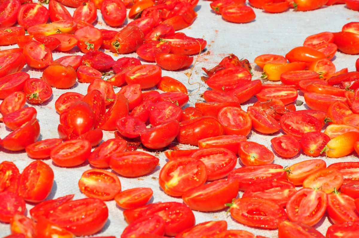 Manisa'nın Lezzetli Kurutulmuş Domatesleri Avrupa Sofralarına Yolculuk Ediyor