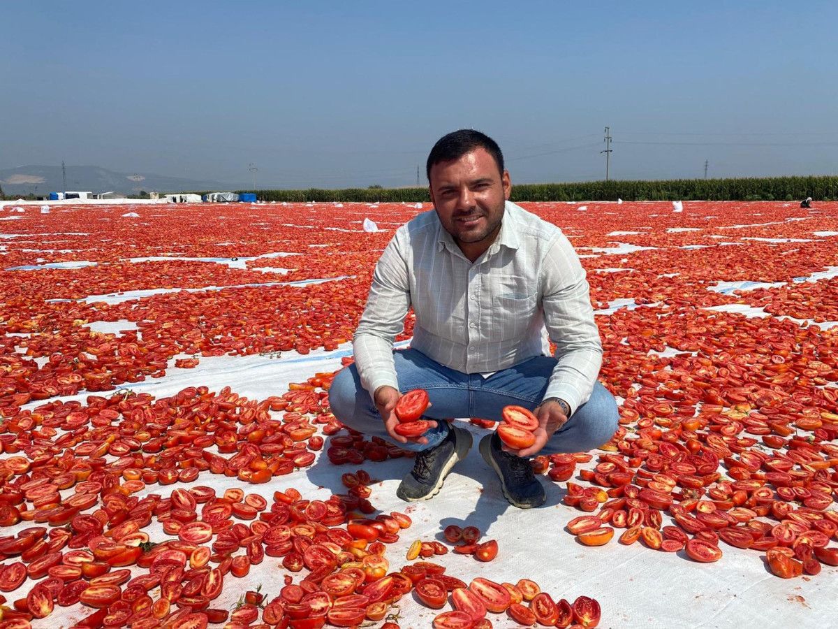Manisa'nın Lezzetli Kurutulmuş Domatesleri Avrupa Sofralarına Yolculuk Ediyor