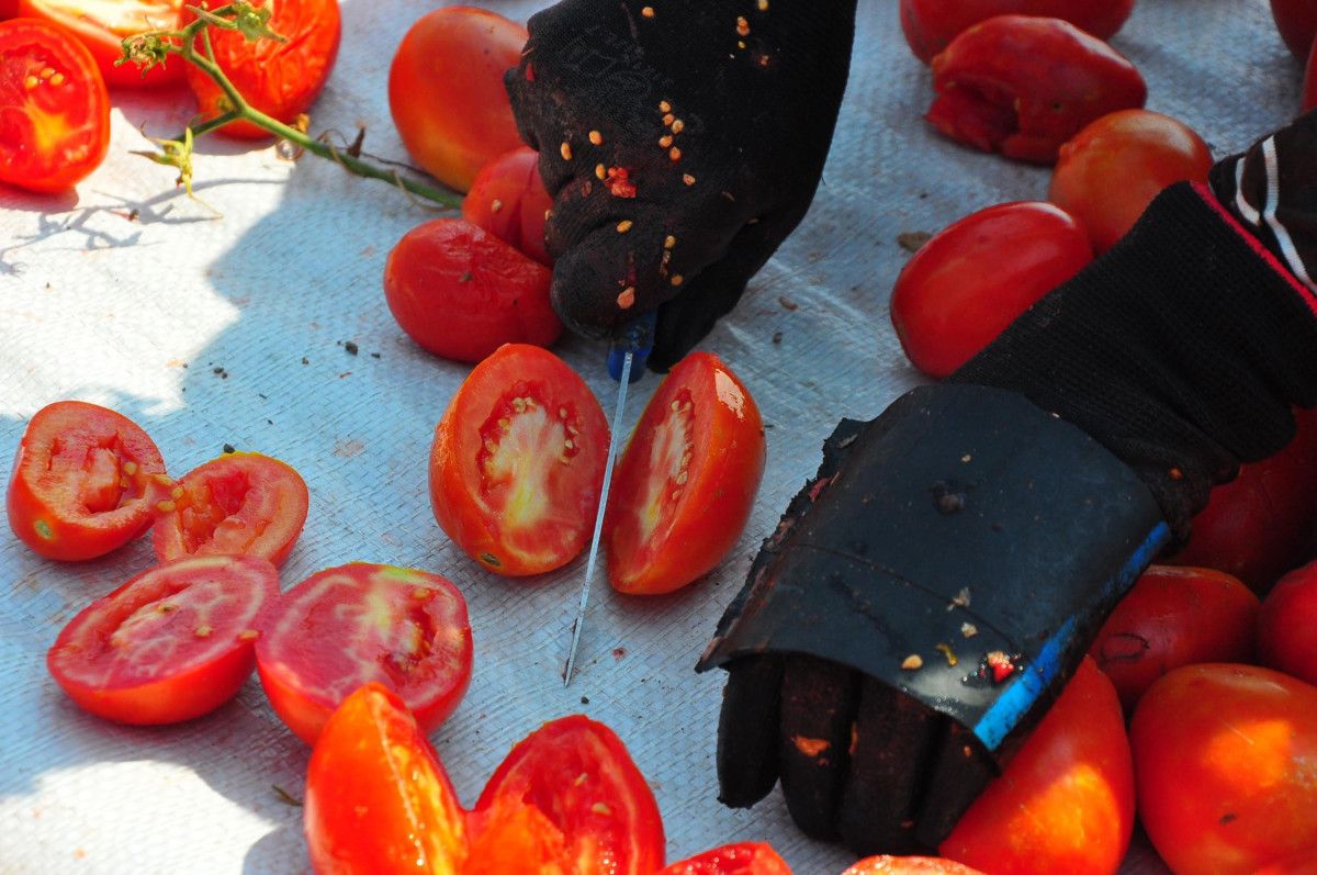 Manisa'nın Lezzetli Kurutulmuş Domatesleri Avrupa Sofralarına Yolculuk Ediyor