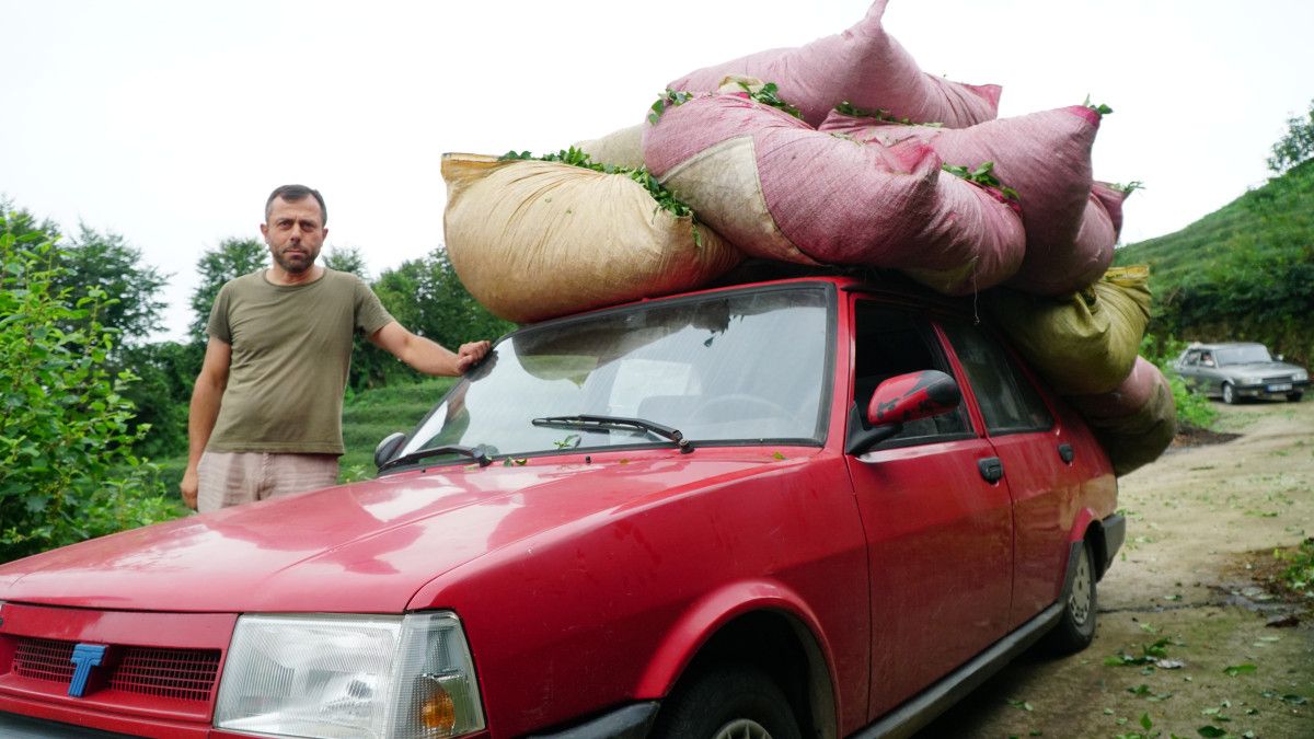 Rizeliler Çay Taşımak İçin Yenilikçi Bir Sistem Geliştirdi