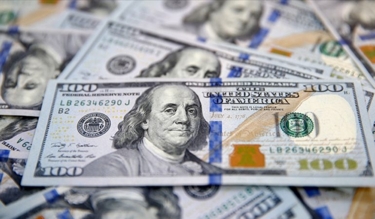 temmuz-ayinda-dolar-endeksi-yuzde-35-artis-gosterdi-WRQnYJ7W.jpg